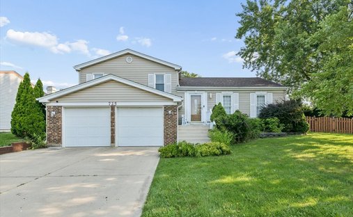 House in Carol Stream, Illinois, United States 1
