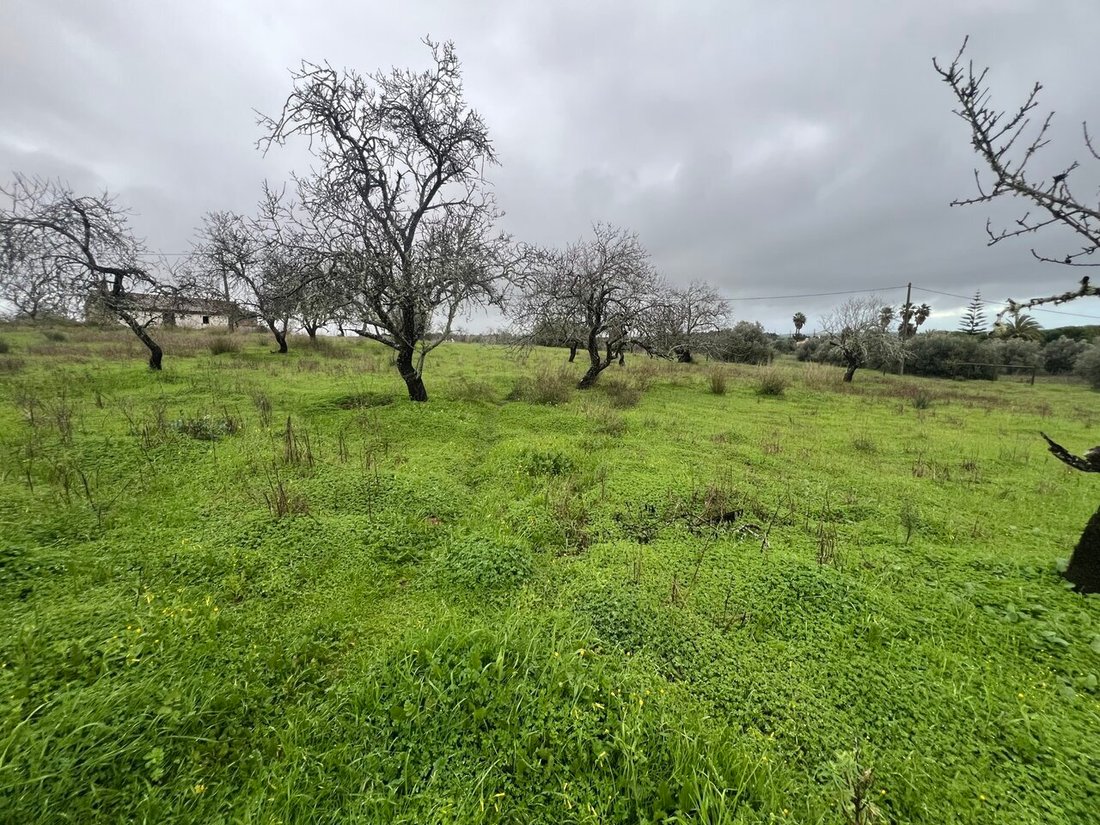 Land in Lagoa e Carvoeiro, Algarve, Portugal 1 - 18515585