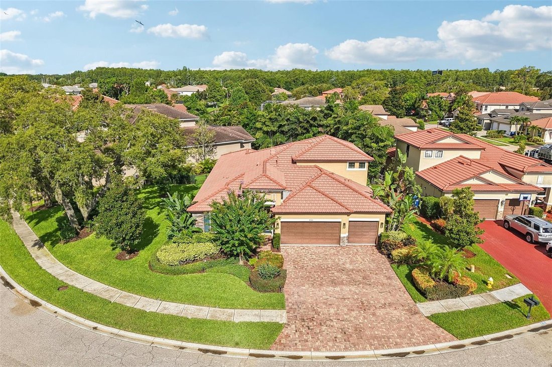 House in Palm Harbor, Florida, United States 1 - 18518610