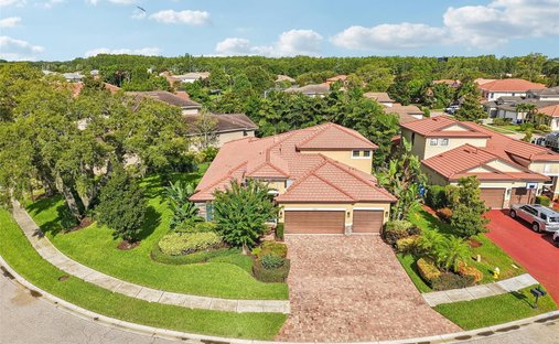 Maison à Palm Harbor, Floride, États-Unis 1