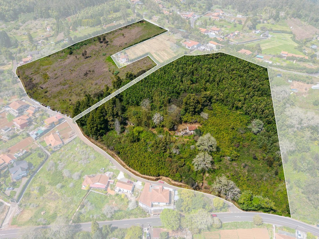Land in Santo Antonio da Serra, Madeira, Portugal 1 - 18375036