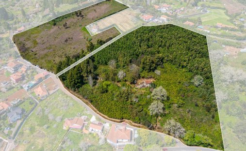 Land in Santo Antonio da Serra, Madeira, Portugal 1