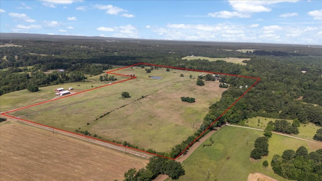 Farm Ranch in Ben Wheeler, Texas, United States 1 - 18512779