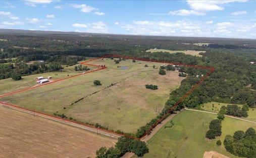 Farm Ranch in Ben Wheeler, Texas, United States 1