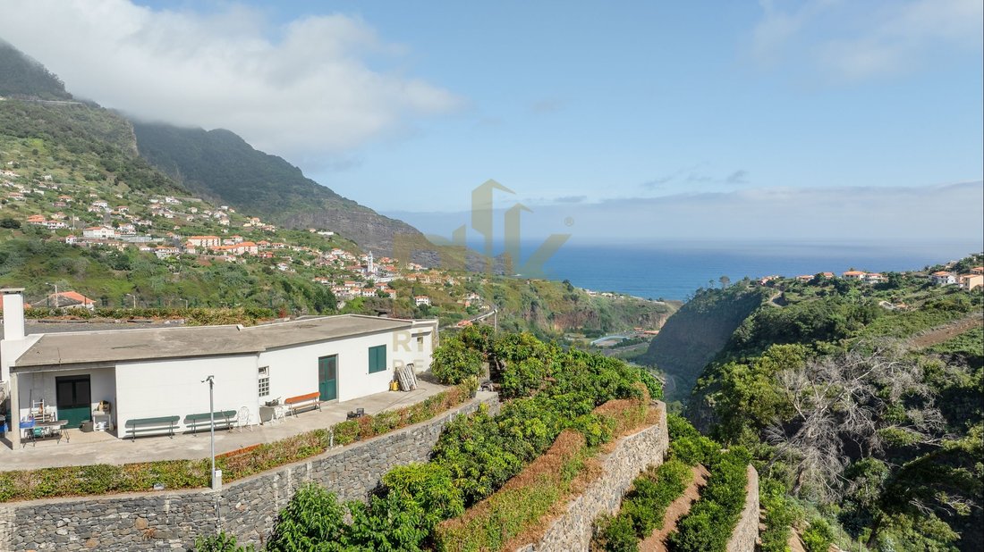 Villa in Reed, Madeira, Portugal 1 - 18382930