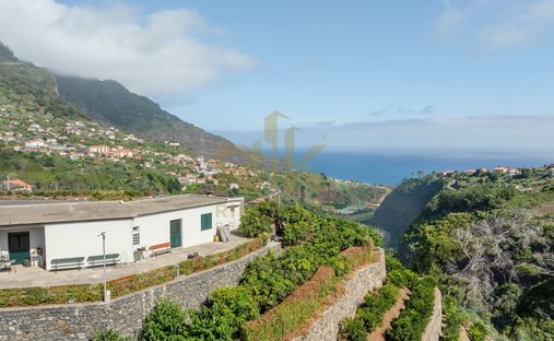 Villa in Reed, Madeira, Portugal 1