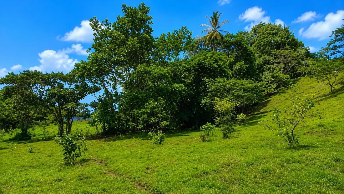 Land in Lagarterita, Provincia de Panamá Oeste, Panama 4 - 18515621