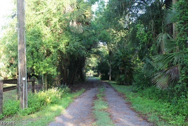 Fort Myers, Florida, United States 1 - 18510889