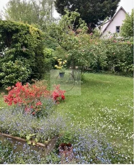 Apartment in Rue de Versailles - Monastère, Ville-d'Avray, France 4 - 18509932