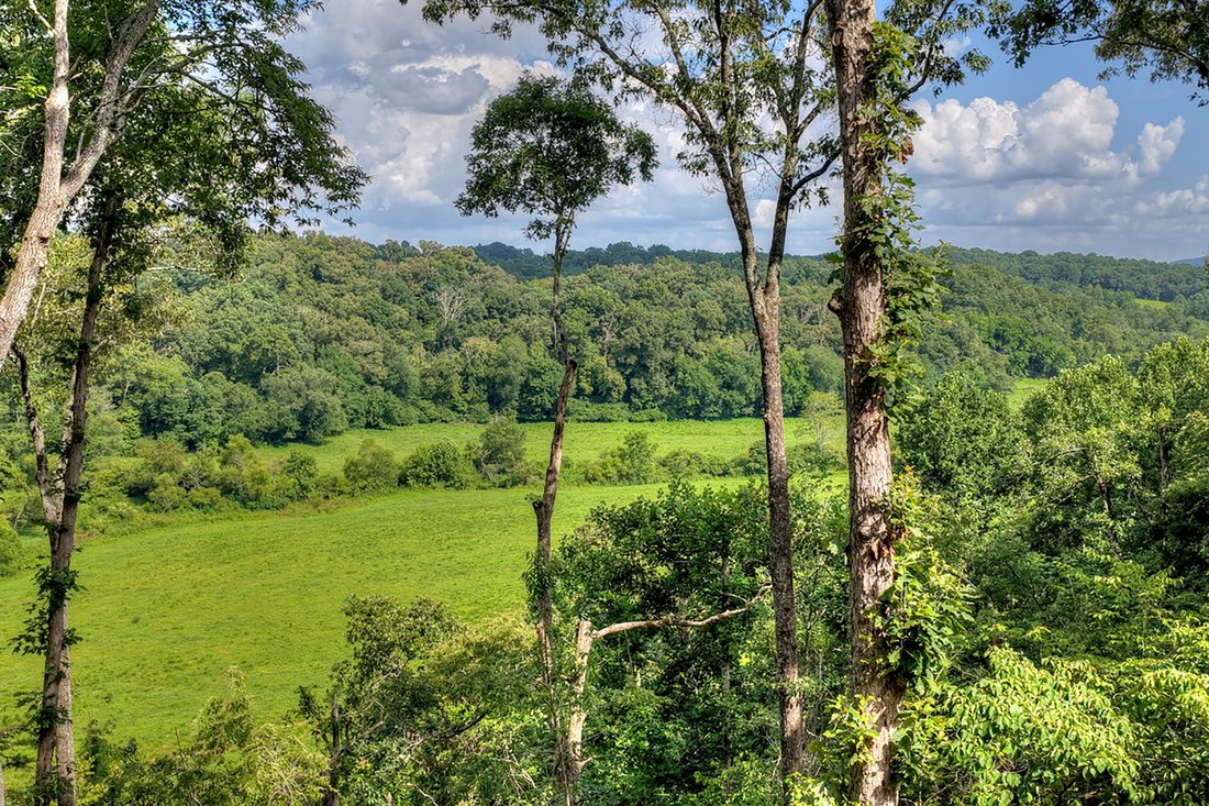 House in Blue Ridge, Georgia, United States 3 - 18510516