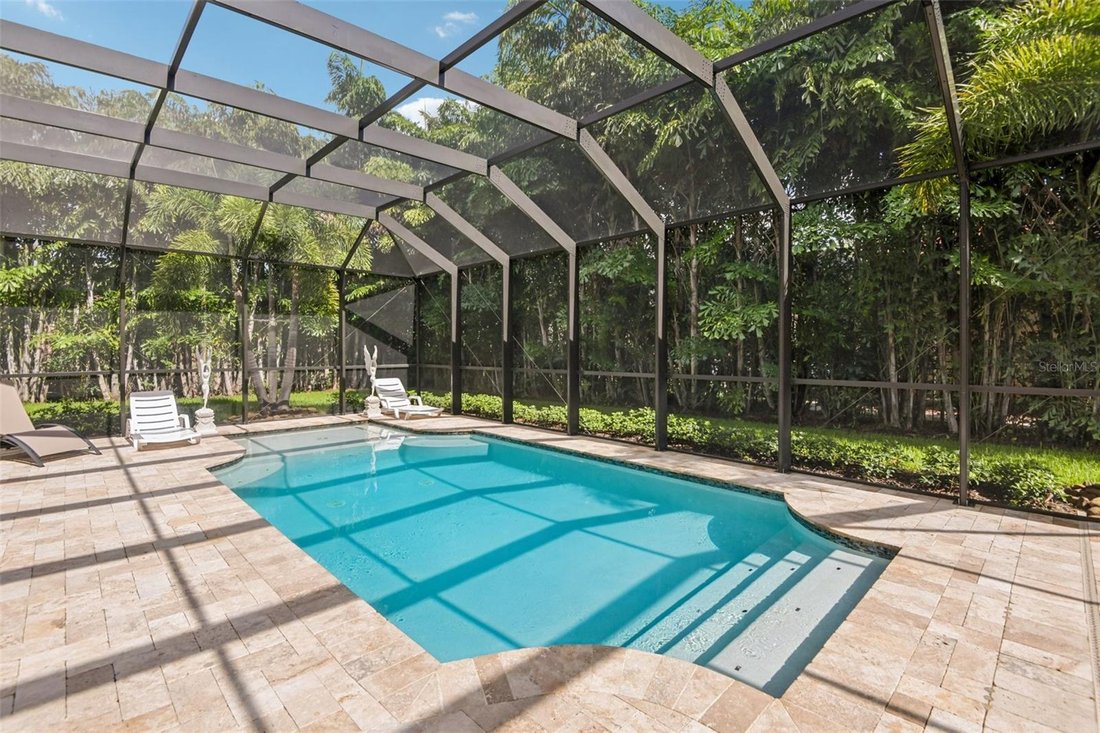 House in Palm Harbor, Florida, United States 4 - 18518610