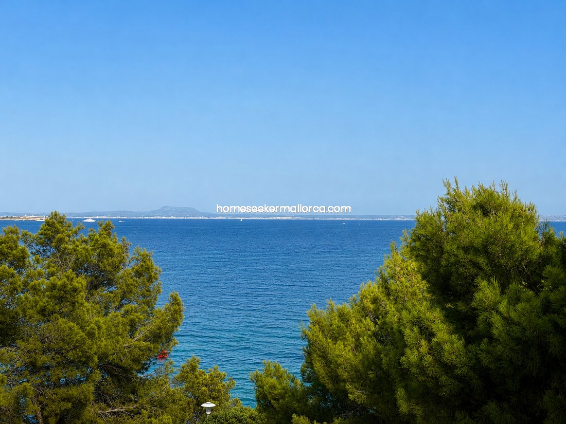 Apartment in Calvia, Balearic Islands, Spain 2 - 18508635