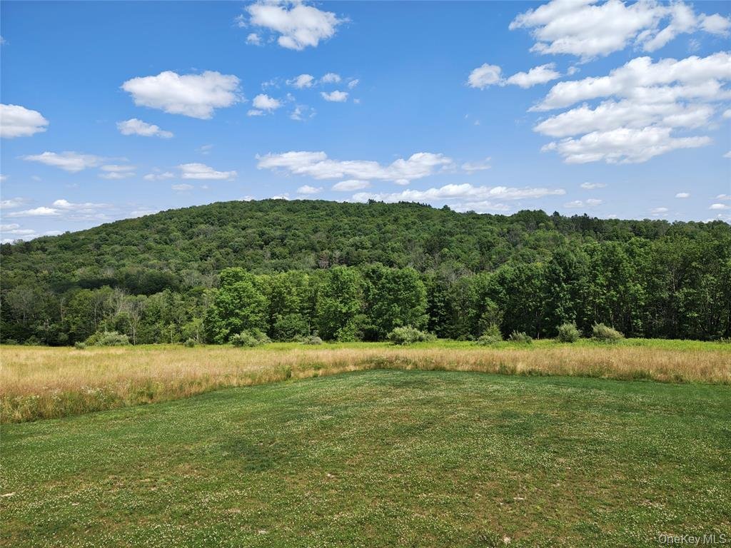 House in Hankins, New York, United States 2 - 18510317