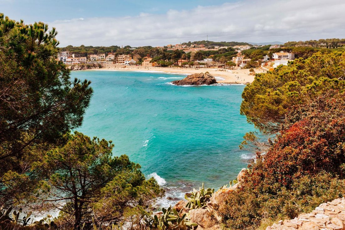 Land in Palamos, Catalonia, Spain 4 - 18508159