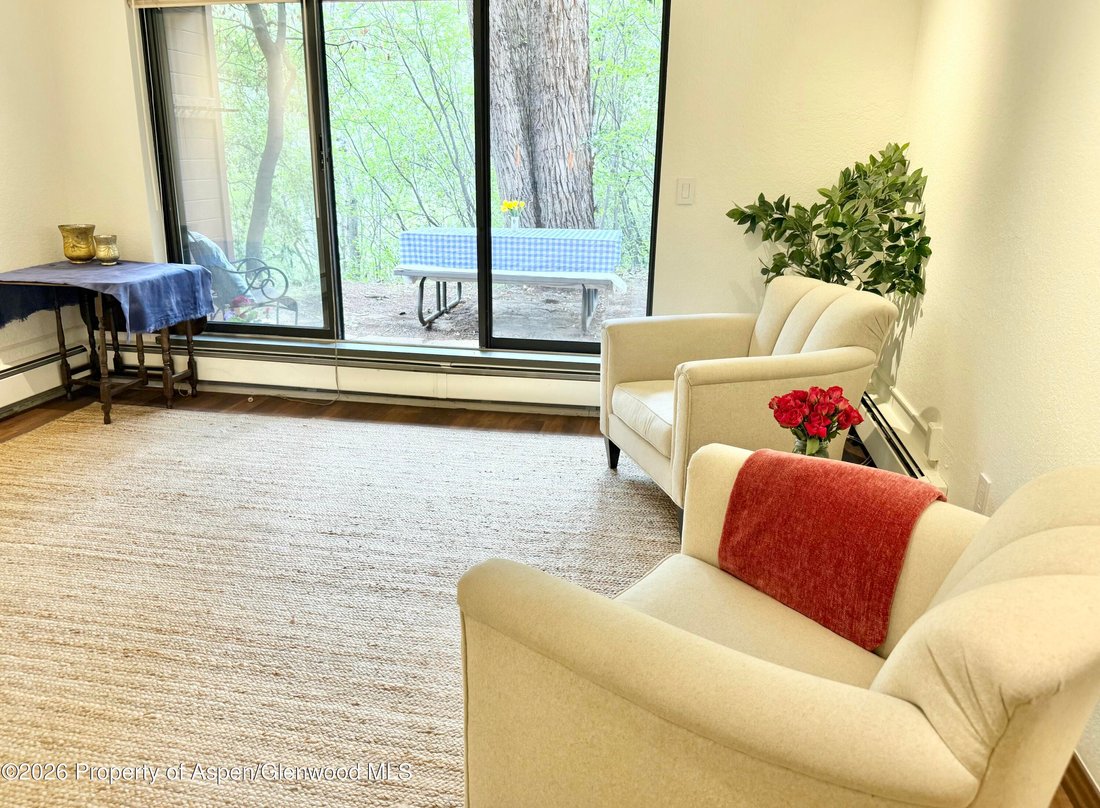 Condo in Aspen, Colorado, United States 3 - 18515936
