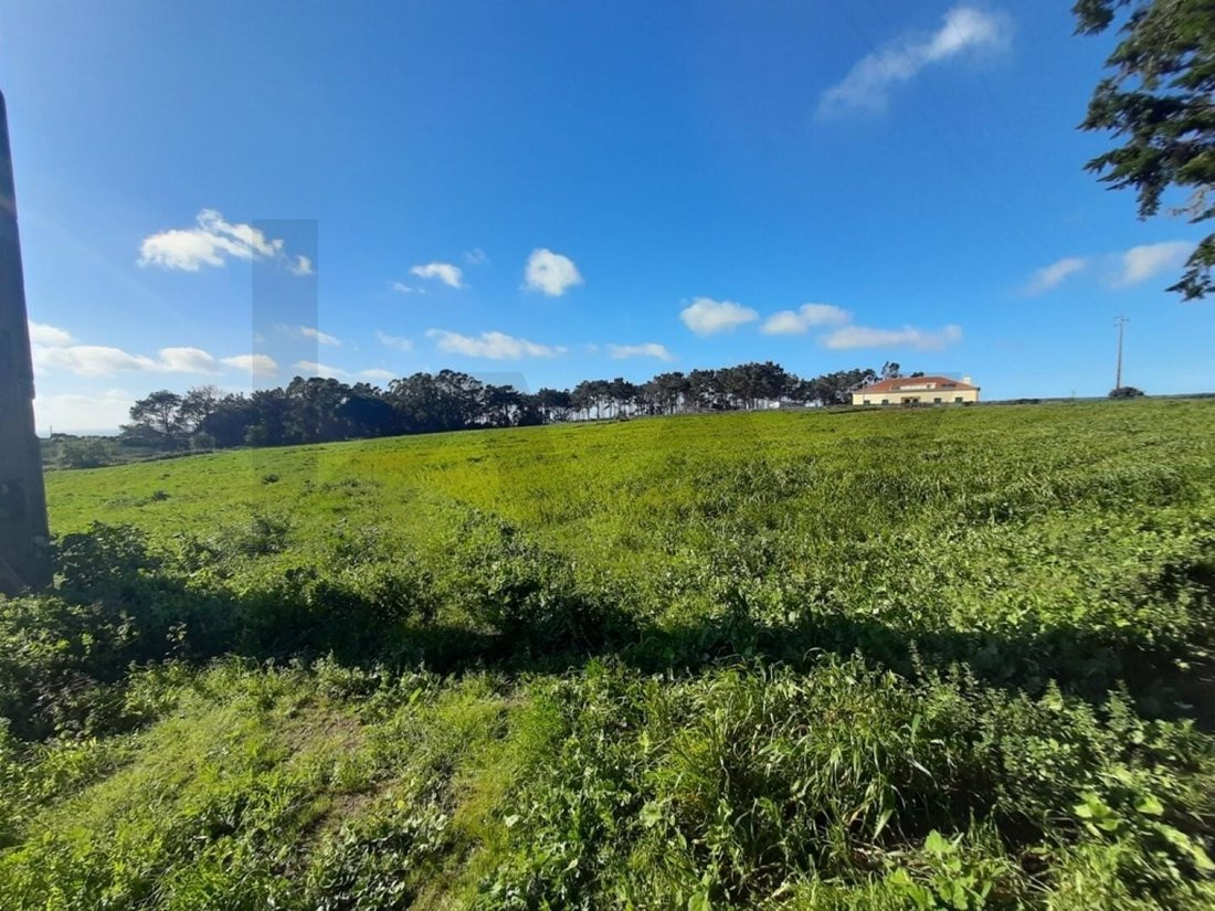 Land in Ericeira, Lisbon, Portugal 4 - 18514945