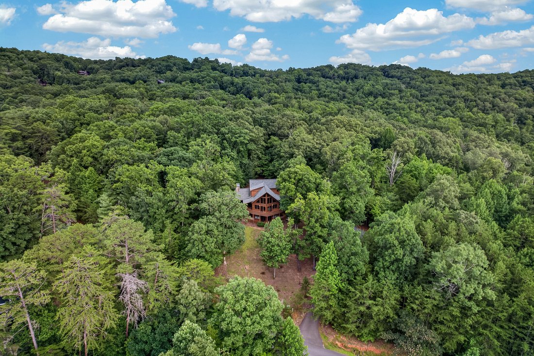 House in Mineral Bluff, Georgia, United States 3 - 18509626