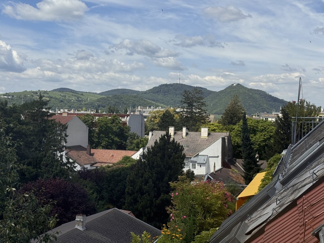 Apartment in Vienna, Wien, Austria 5 - 18516345
