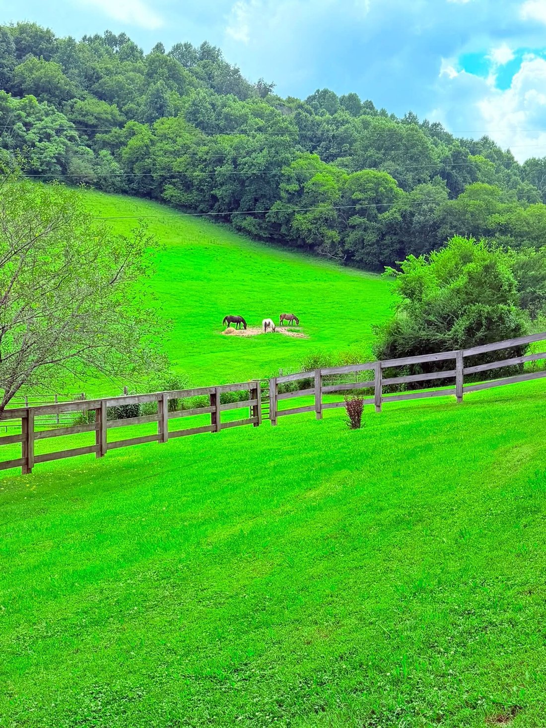 Land in Shelbyville, Tennessee, United States 1 - 18517320