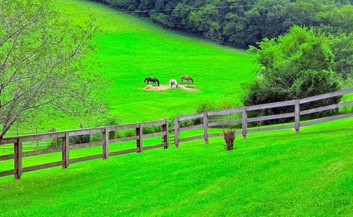 Land in Shelbyville, Tennessee, United States 1