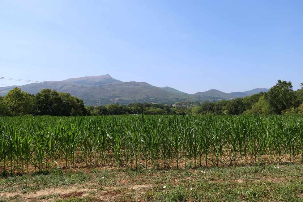 Land in Ascain, Nouvelle-Aquitaine, France 1 - 18511871