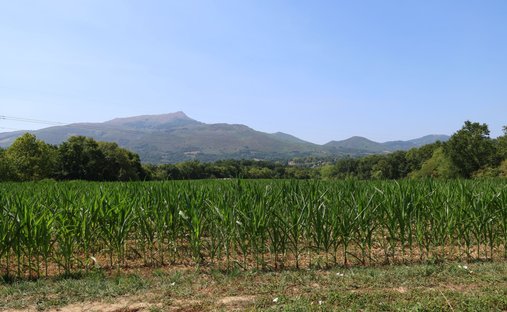 Land in Ascain, Nouvelle-Aquitaine, France 1
