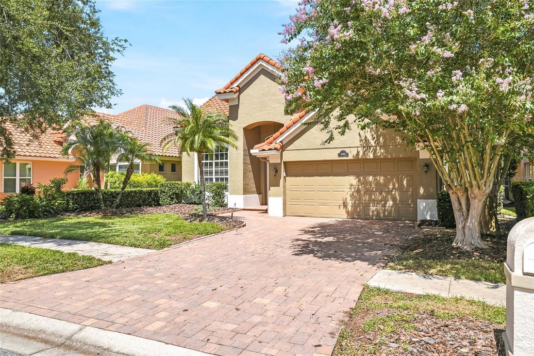 House in Land O' Lakes, Florida, United States 4 - 18511787
