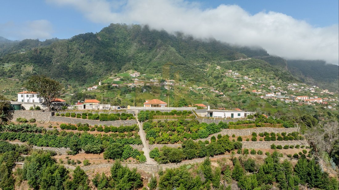Villa in Reed, Madeira, Portugal 5 - 18382930