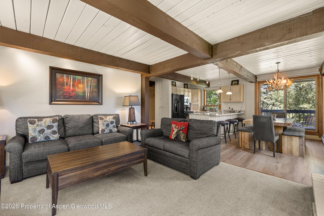 Condo in Snowmass Village, Colorado, United States 4 - 18515933