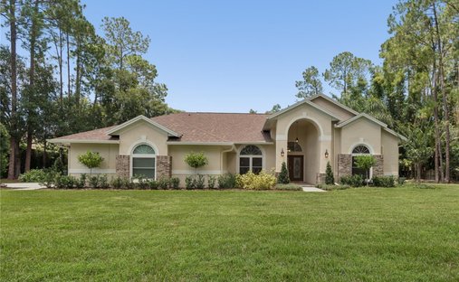 House in Lutz, Florida, United States 1