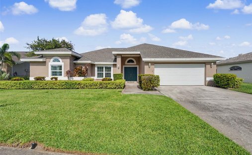 House in Palm Harbor, Florida, United States 1