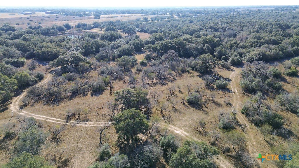 Farm Ranch in Goliad, Texas, United States 1 - 18508920