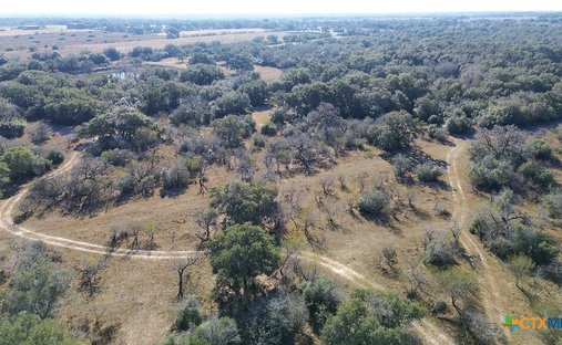 Farm Ranch in Goliad, Texas, United States 1