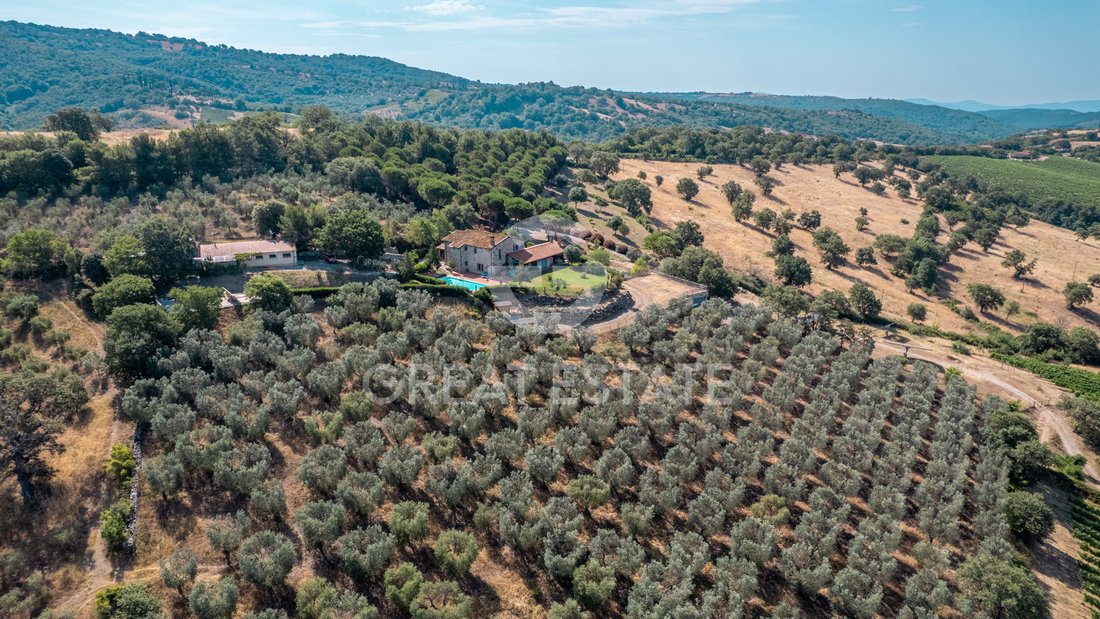 Estate in Scansano, Tuscany, Italy 3 - 18513527