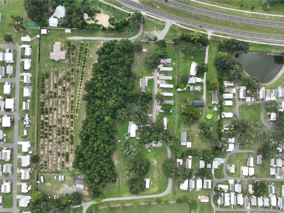 Dade City, Florida, United States 1 - 18511788