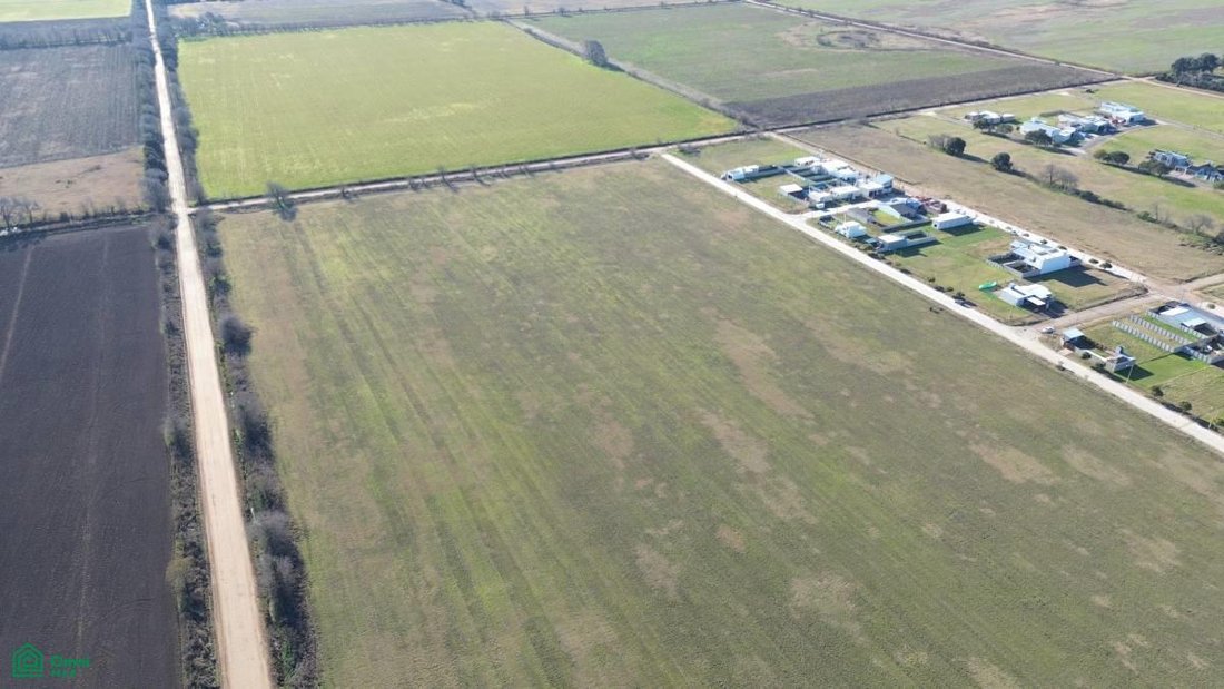 Land in Venado Tuerto, Santa Fe Province, Argentina 3 - 18255214