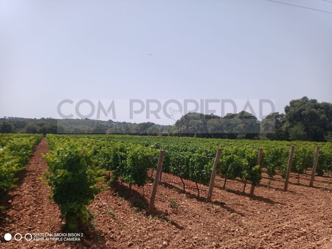 Finca in Costitx, Balearic Islands, Spain 4 - 18516217