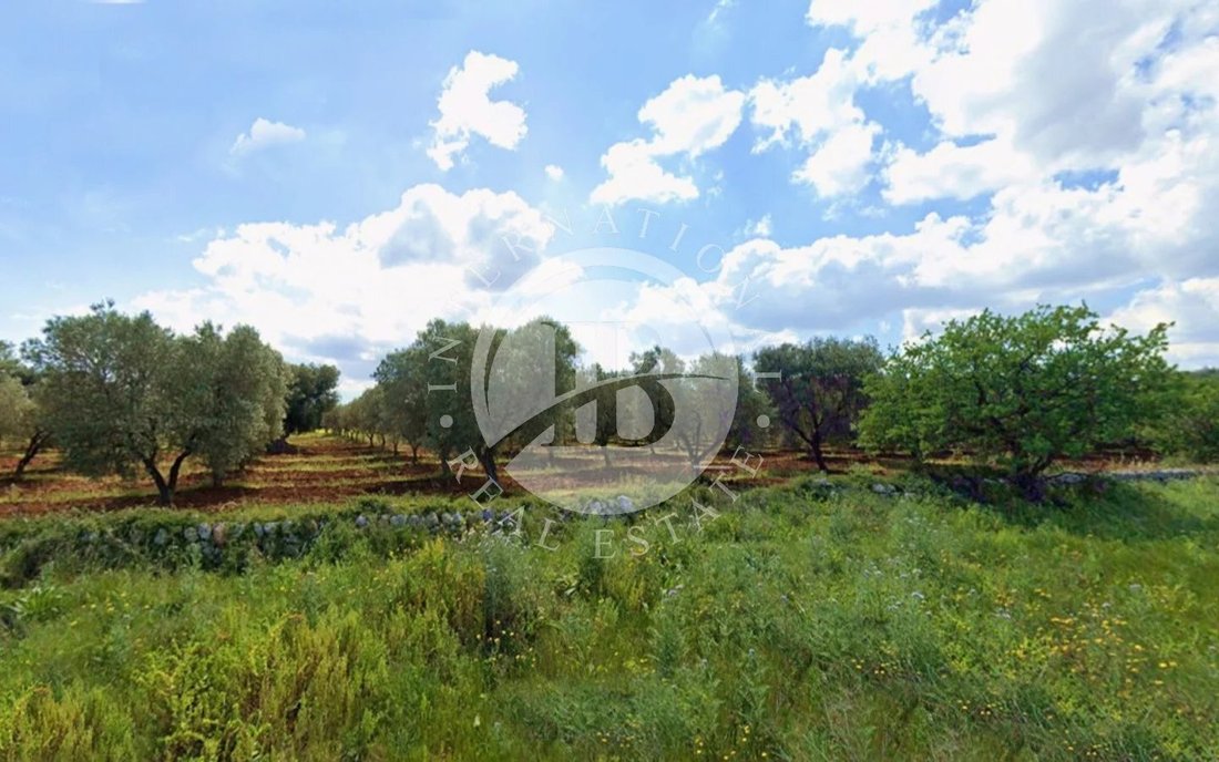 Villa in Selva di Fasano, Apulia, Italy 5 - 18508305