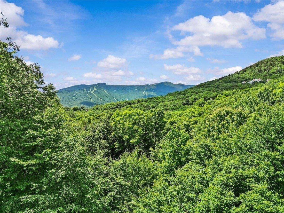 House in Stowe, Vermont, United States 2 - 18510492