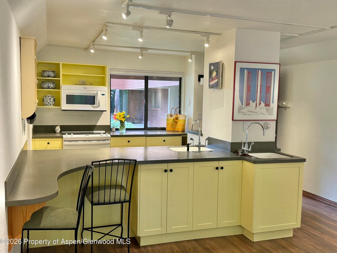 Condo in Aspen, Colorado, United States 4 - 18515936
