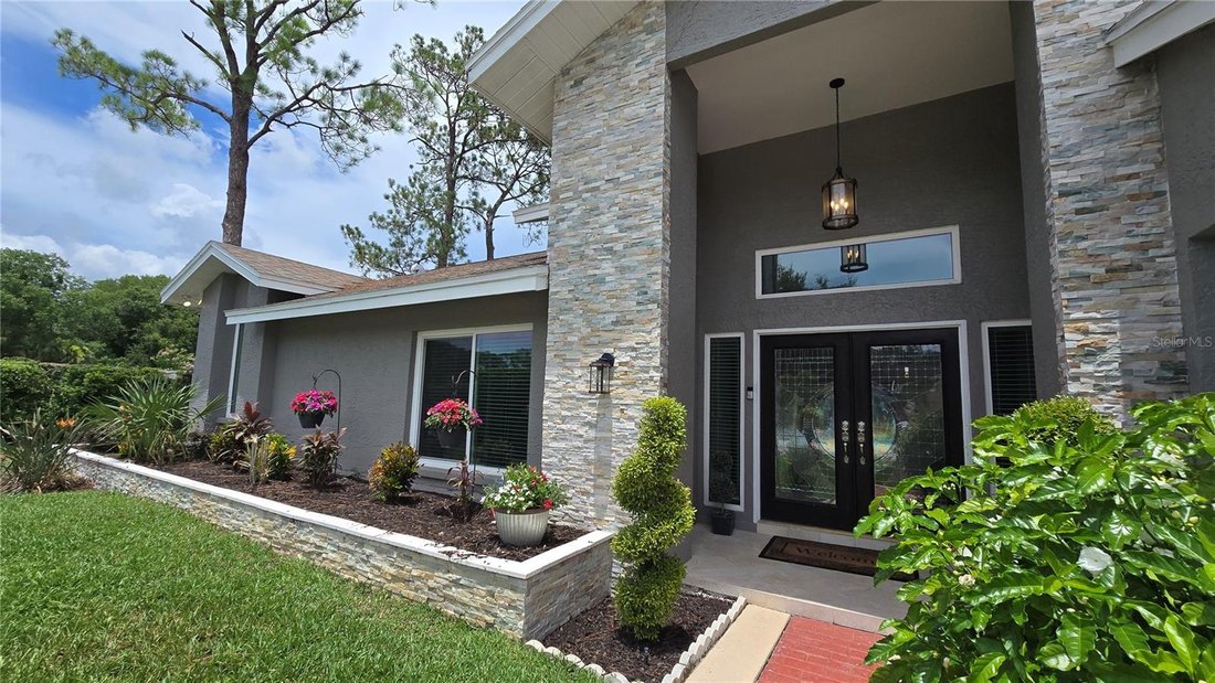 House in Palm Harbor, Florida, United States 2 - 17802410