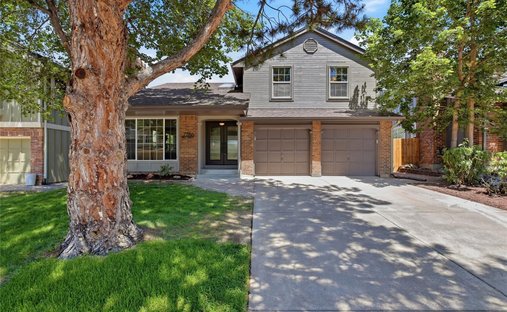 House in Littleton, Colorado, United States 1