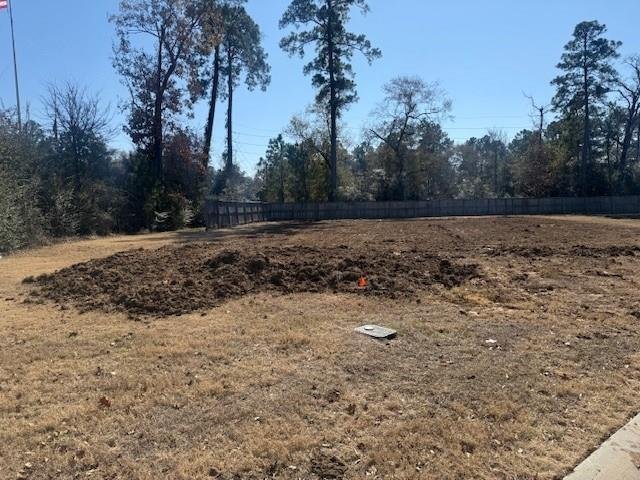 House in Conroe, Texas, United States 4 - 18512648