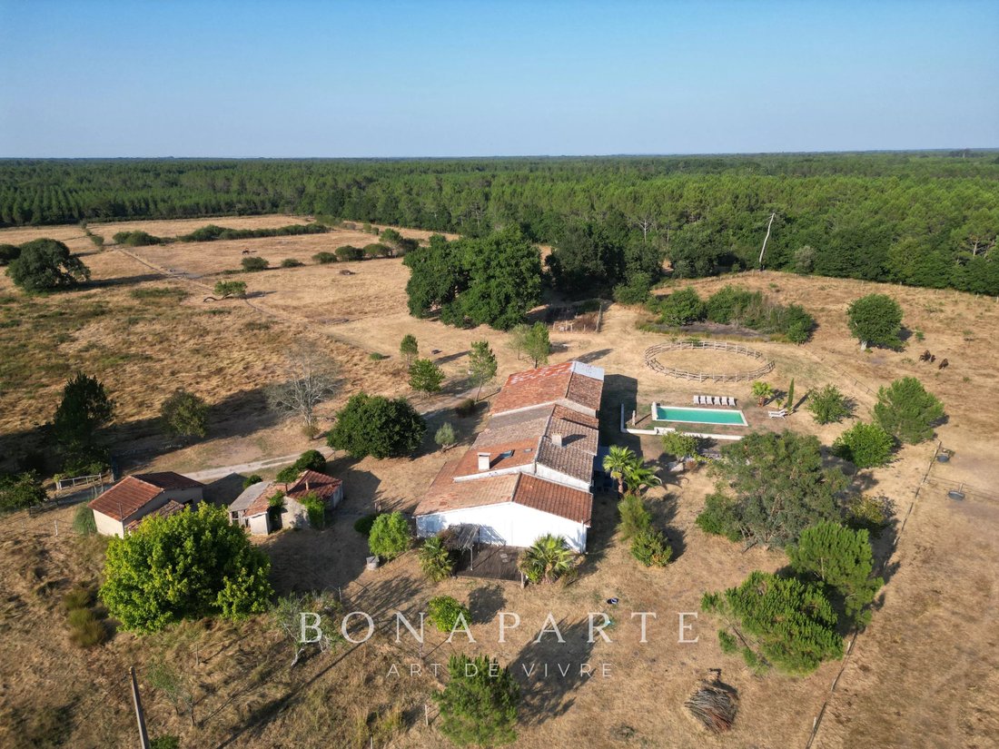 Farm Ranch in Gaillan-en-Medoc, Nouvelle-Aquitaine, France 1 - 18509935
