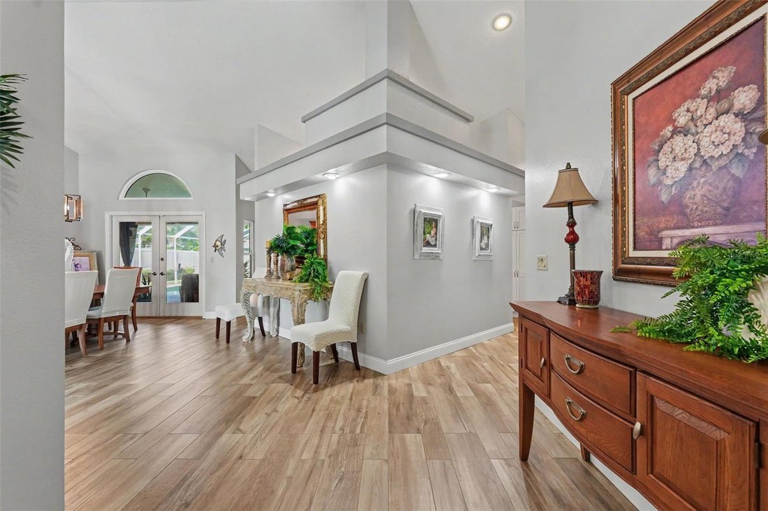 House in Palm Harbor, Florida, United States 4 - 18520171