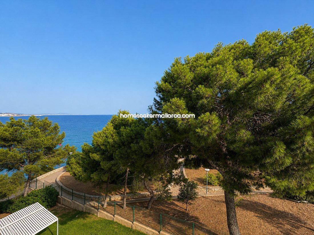 Apartment in Calvia, Balearic Islands, Spain 3 - 18508635