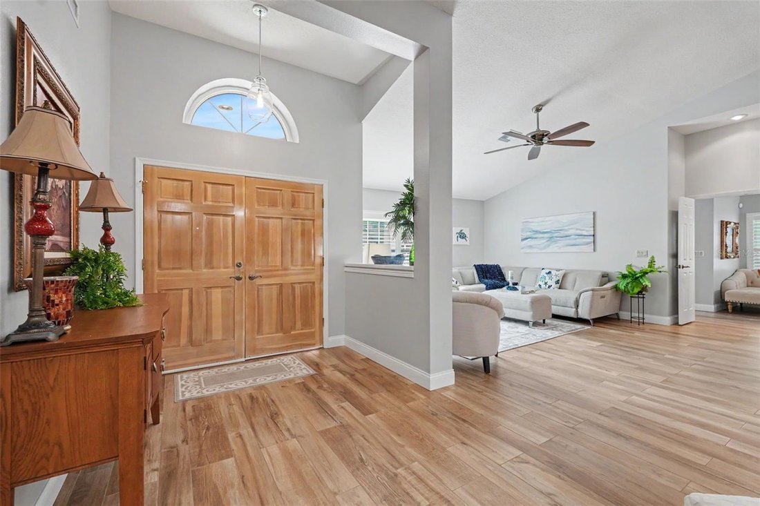 House in Palm Harbor, Florida, United States 3 - 18520171