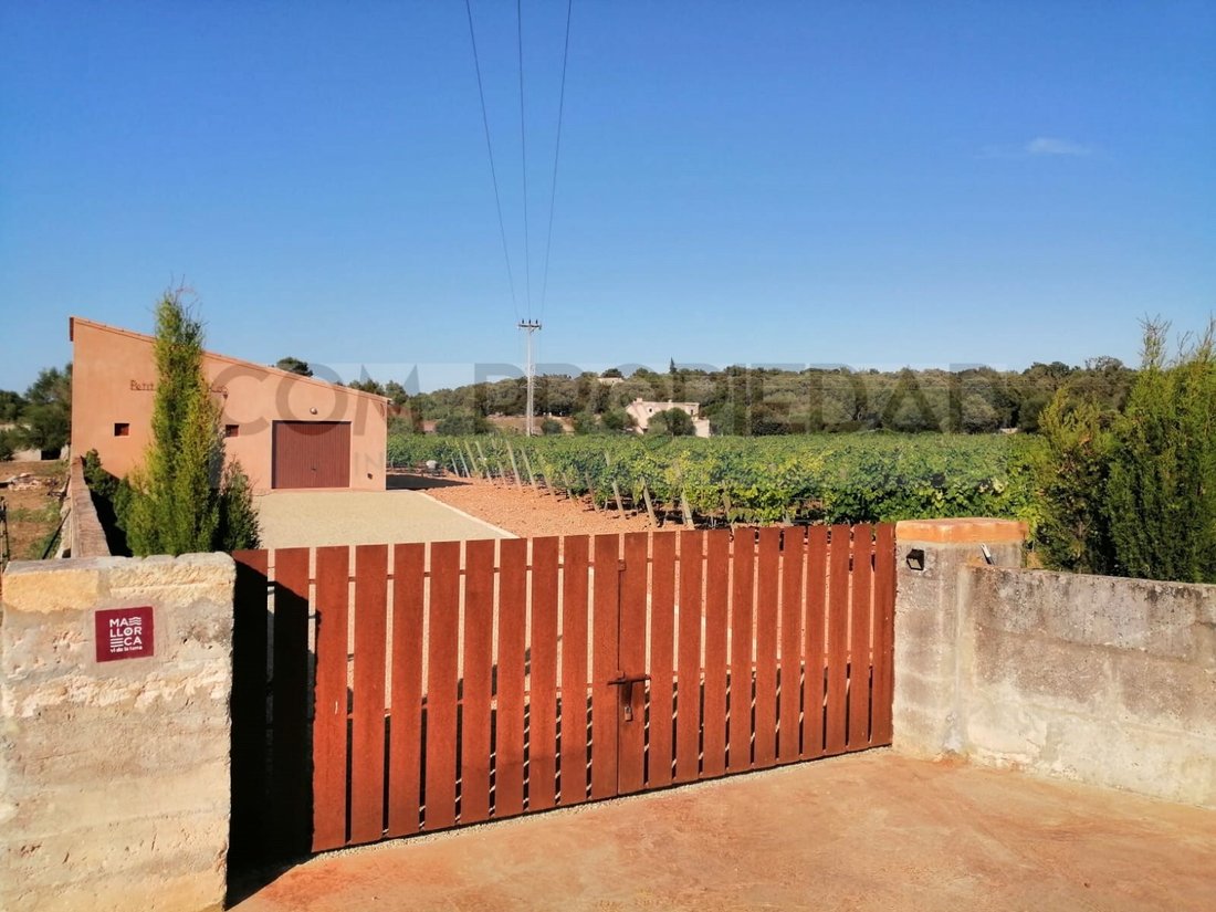 Finca in Costitx, Balearic Islands, Spain 2 - 18516217