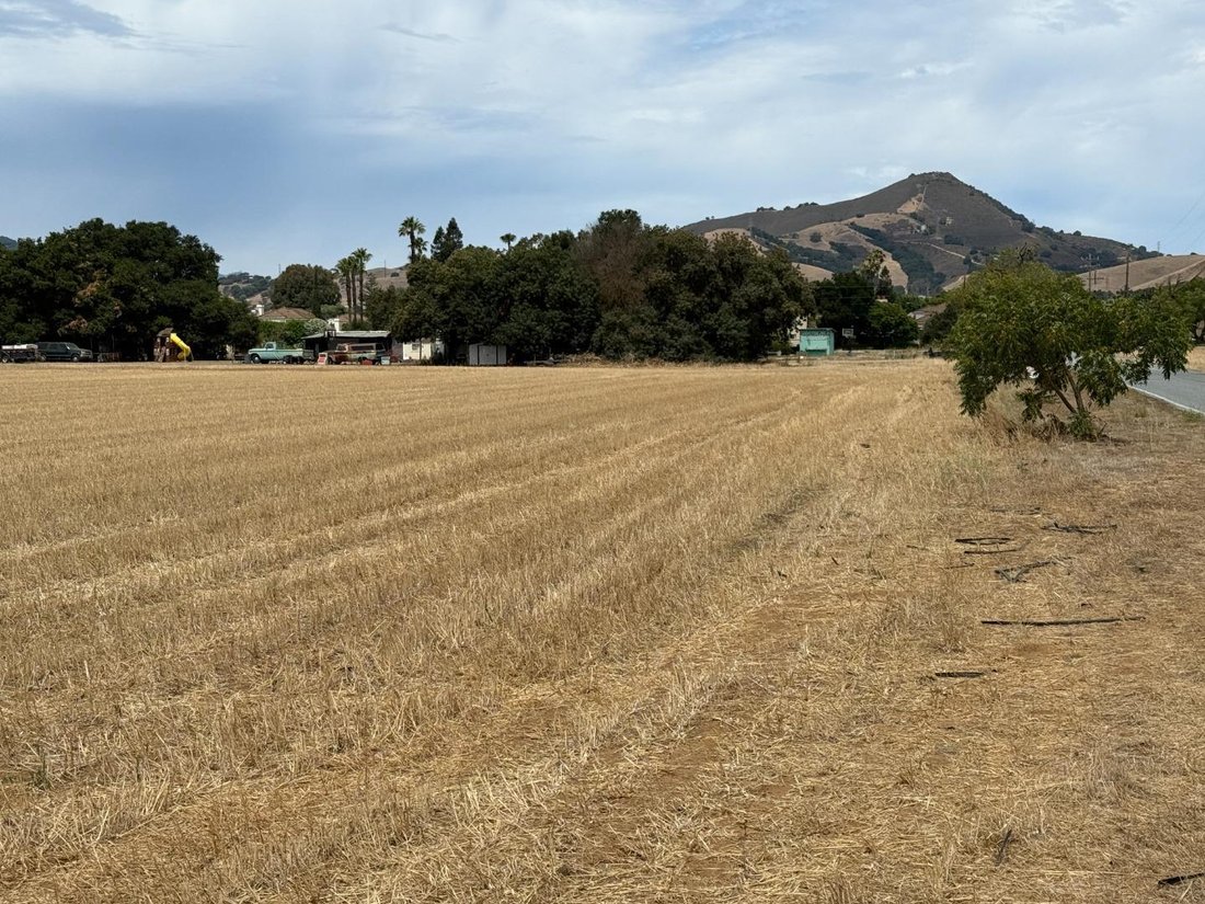 Morgan Hill, California, United States 1 - 18511573