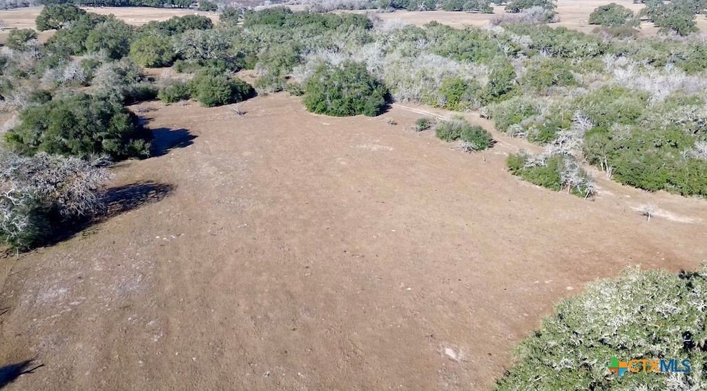Farm Ranch in Goliad, Texas, United States 3 - 18508920